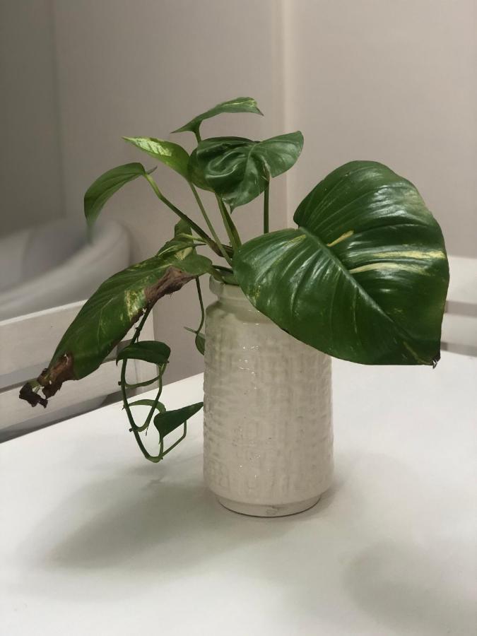 Apart Sur Departamento 산타페 외부 사진